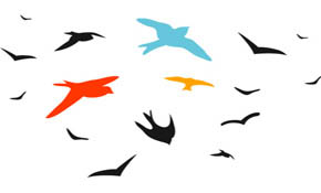 bird vector set bird vector set