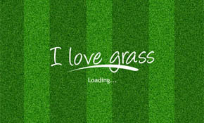 Grass Texture Seamless Grass Texture Seamless