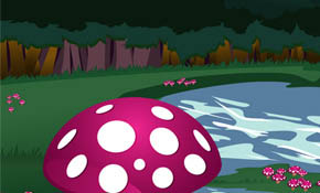 Mushroom Forest Mushroom Forest