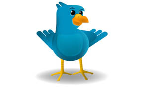 Smug Twitter Bird Smug Twitter Bird