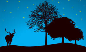 Tree Landscape Vector Tree Landscape Vector