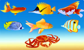 Vector Fish Vector Fish