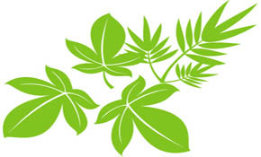 Vector Tree Leaf 02 Vector Tree Leaf 02