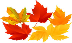 Vector Tree Leaf Vector Tree Leaf
