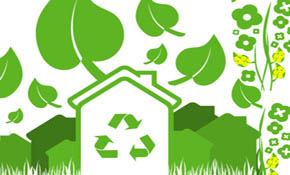 Vectors-Ecology Set Vectors-Ecology Set