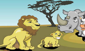 african animals african animals
