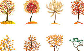 Collection of autumn trees Collection of autumn trees