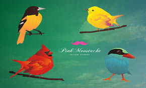 4 beautiful birds 4 beautiful birds