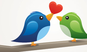 Birds in Love Vector Graphic Birds in Love Vector Graphic