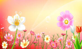 Free Vector Flowers 04 Free Vector Flowers 04