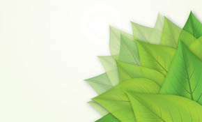 Green Leaves Vector Graphic Green Leaves Vector Graphic
