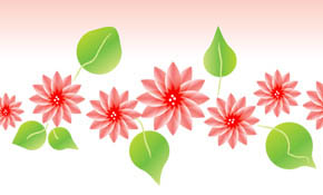 Lotus flower Lotus flower