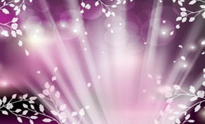 night shinning spring vector design night shinning spring vector design