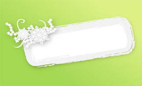 Shadoo banner Shadoo banner
