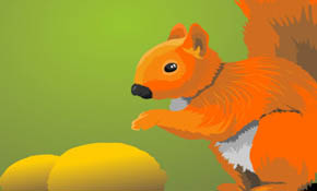 Squirrel Squirrel