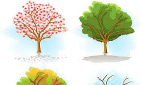 Same tree in different seasons Same tree in different seasons
