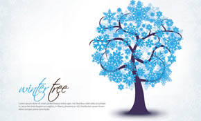 Winter Tree Winter Tree