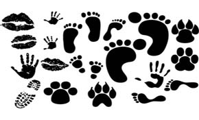 Print Vectors