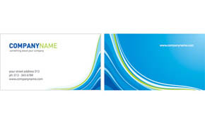Business Card Vector