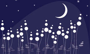 Dreamy Night Vector