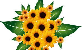 Flowers Bouquet
